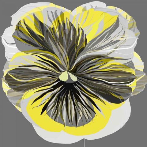 Pansies I Black Modern Wood Framed Art Print by Scaffardi, Sally