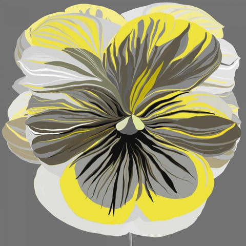 Pansies II Black Ornate Wood Framed Art Print with Double Matting by Scaffardi, Sally