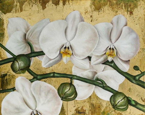 Flowers I Black Ornate Wood Framed Art Print with Double Matting by Sedalia, David