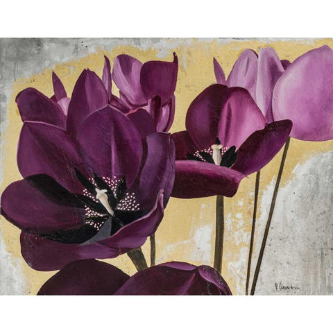 Flowers III Black Modern Wood Framed Art Print with Double Matting by Sedalia, David