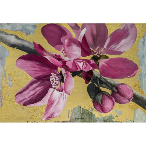 Flowers IV Black Modern Wood Framed Art Print with Double Matting by Sedalia, David