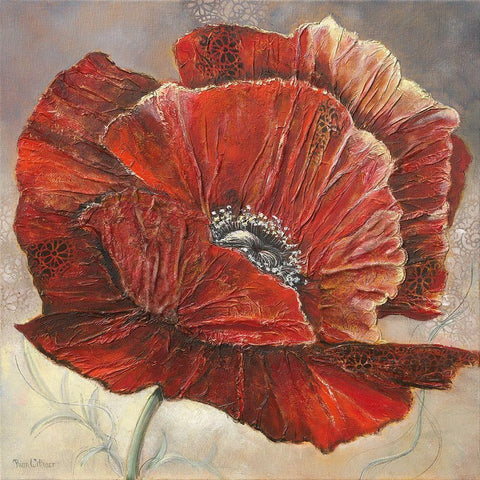 BOLD POPPY I White Modern Wood Framed Art Print with Double Matting by Withaar, Rian