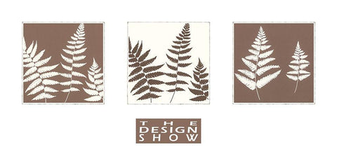 MOCCA FERN I Black Ornate Wood Framed Art Print with Double Matting by Design Show