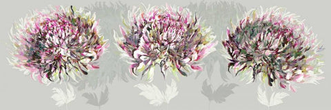 Pink Allure I White Modern Wood Framed Art Print with Double Matting by Scaffardi, Sally
