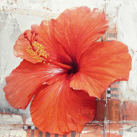 Hibiscus I White Modern Wood Framed Art Print by Sestillo, Enrico