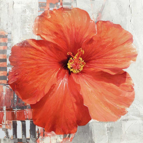 Hibiscus II White Modern Wood Framed Art Print with Double Matting by Sestillo, Enrico