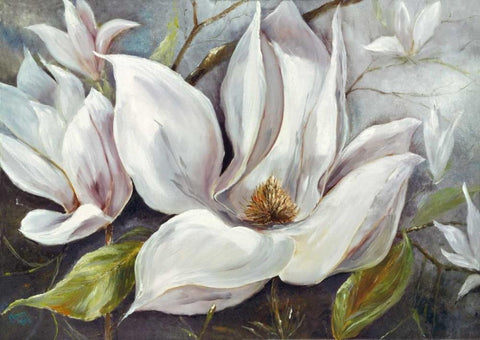 Tender Magnolias I Black Ornate Wood Framed Art Print with Double Matting by Field, Anna