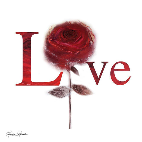 LOVE ROSE White Modern Wood Framed Art Print with Double Matting by Robertson, Marilyn