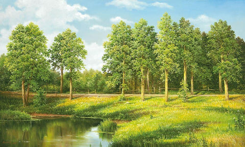 NEAR VORONEZ White Modern Wood Framed Art Print with Double Matting by Osipova, Svetlana