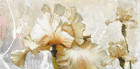 VANILLA IRIS I Black Ornate Wood Framed Art Print with Double Matting by Sestillo, Enrico