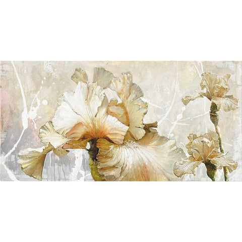 VANILLA IRIS I Black Modern Wood Framed Art Print by Sestillo, Enrico