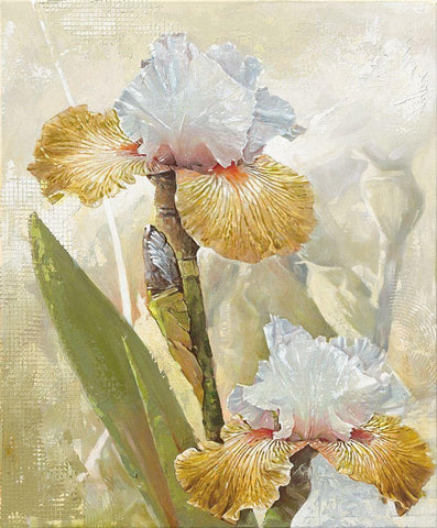 VANILLA IRIS II Black Ornate Wood Framed Art Print with Double Matting by Sestillo, Enrico