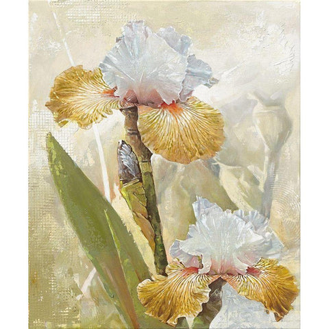 VANILLA IRIS II Black Modern Wood Framed Art Print by Sestillo, Enrico