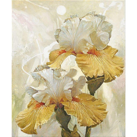 VANILLA IRIS III Black Modern Wood Framed Art Print with Double Matting by Sestillo, Enrico