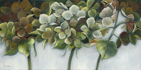 GREEN HYDRANGEAS White Modern Wood Framed Art Print with Double Matting by Withaar, Rian