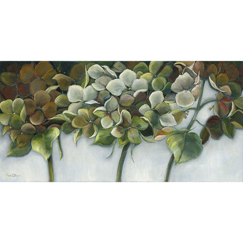GREEN HYDRANGEAS Gold Ornate Wood Framed Art Print with Double Matting by Withaar, Rian