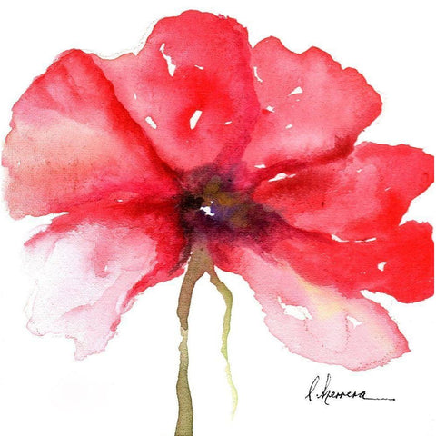 WATERCOLOR POPPY I Black Modern Wood Framed Art Print with Double Matting by Herrera, Leticia