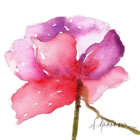WATERCOLOR POPPY III White Modern Wood Framed Art Print with Double Matting by Herrera, Leticia