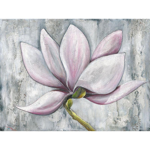 PINK MAGNOLIA White Modern Wood Framed Art Print by Withaar, Rian