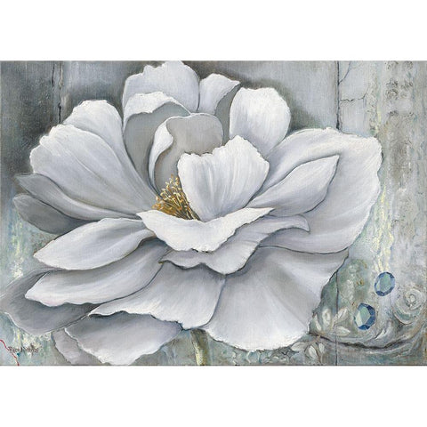 FLOWER DREAM Black Modern Wood Framed Art Print by Withaar, Rian