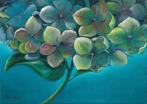 HYDRANGEA I White Modern Wood Framed Art Print with Double Matting by Withaar, Rian