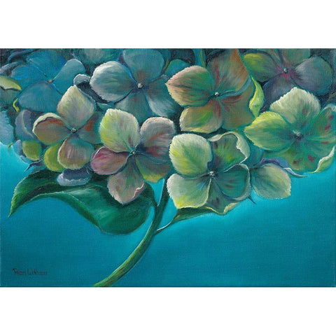 HYDRANGEA I Black Modern Wood Framed Art Print by Withaar, Rian