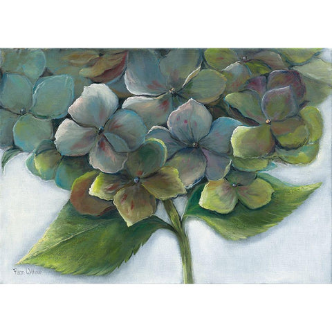 HYDRANGEA II Black Modern Wood Framed Art Print with Double Matting by Withaar, Rian