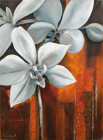 WHITE ORCHID II Black Ornate Wood Framed Art Print with Double Matting by Withaar, Rian