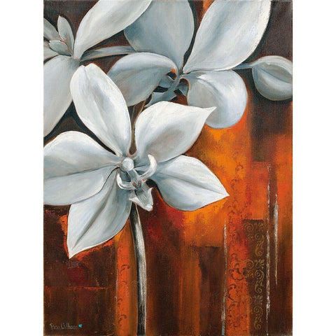 WHITE ORCHID II Black Modern Wood Framed Art Print by Withaar, Rian