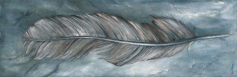 FEATHER II Black Ornate Wood Framed Art Print with Double Matting by Withaar, Rian