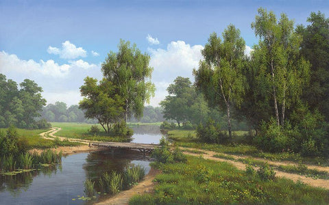 Path over water Black Ornate Wood Framed Art Print with Double Matting by Babichev