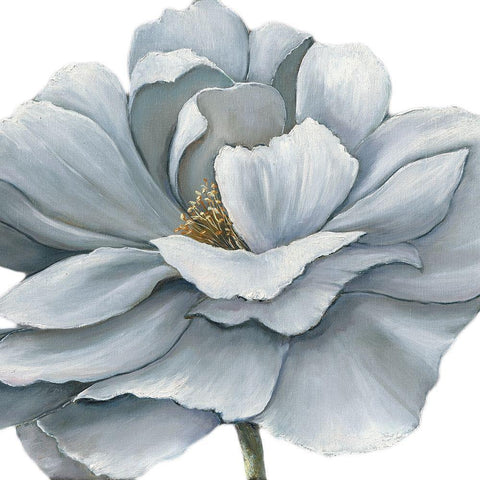 BLUE SILKEN BLOOM Black Modern Wood Framed Art Print by Withaar, Rian