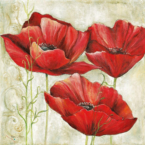 THREE RED POPPIES I Black Modern Wood Framed Art Print with Double Matting by Field, Anna