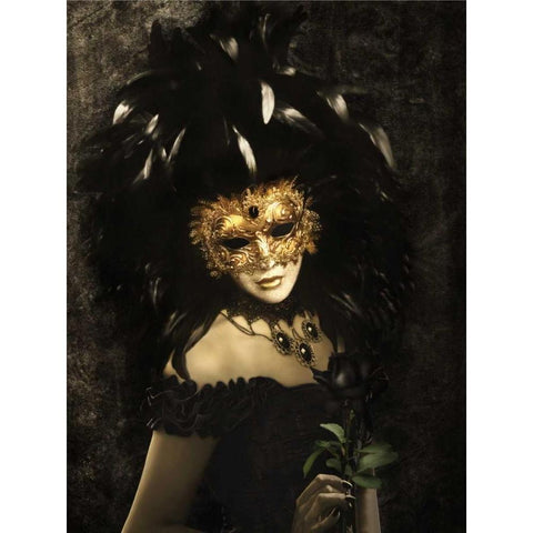 Bal Du Mask 3 Black Modern Wood Framed Art Print with Double Matting by Babette