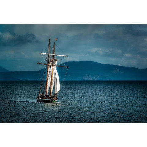 SAILING AWAY Black Modern Wood Framed Art Print by Kostka, Vladimir