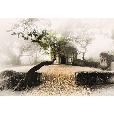 MISTY CHAPEL Black Modern Wood Framed Art Print by Kostka, Vladimir