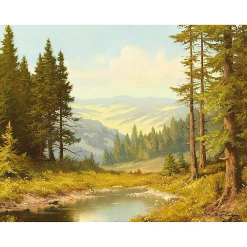 QUIET POND Black Modern Wood Framed Art Print with Double Matting by Bochmann, Joh.