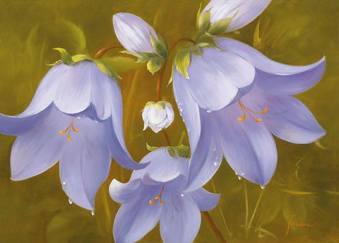 SAY IT WITH FLOWERS I White Modern Wood Framed Art Print with Double Matting by Fasani