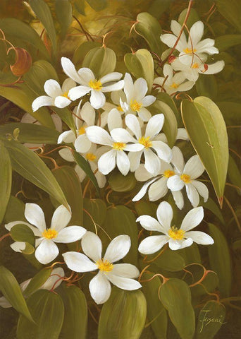 CLEMATIS White Modern Wood Framed Art Print with Double Matting by Fasani