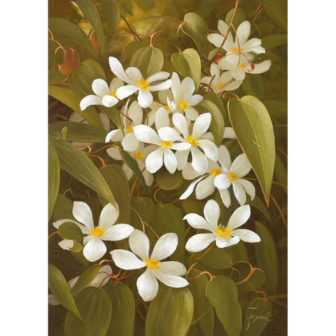CLEMATIS Black Modern Wood Framed Art Print by Fasani