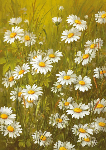 MARGUERITE White Modern Wood Framed Art Print with Double Matting by Fasani