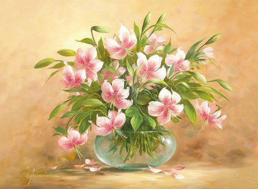 Image Only