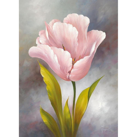 WHITE TULIP Black Modern Wood Framed Art Print with Double Matting by Fasani