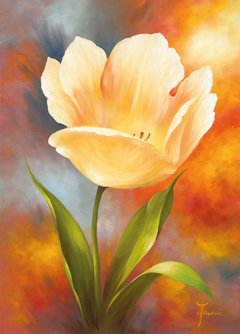 GOLDEN TULIP White Modern Wood Framed Art Print with Double Matting by Fasani