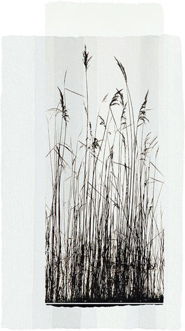 Garden Prairie I White Modern Wood Framed Art Print with Double Matting by Verbeek-Van Den Broek