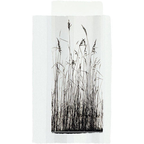 Garden Prairie I Black Modern Wood Framed Art Print with Double Matting by Verbeek-Van Den Broek