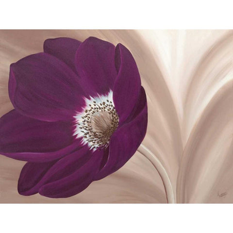 Velvet Anemone Gold Ornate Wood Framed Art Print with Double Matting by Lake, Kaye