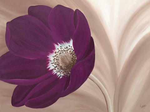 Velvet Anemone Black Ornate Wood Framed Art Print with Double Matting by Lake, Kaye