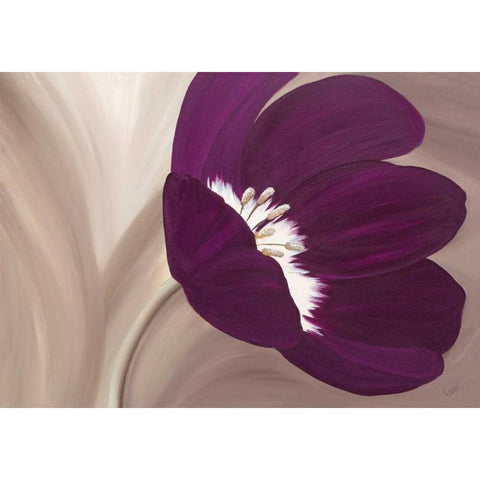 Velvet Poppy Black Modern Wood Framed Art Print with Double Matting by Lake, Kaye