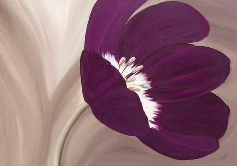 Velvet Poppy White Modern Wood Framed Art Print with Double Matting by Lake, Kaye